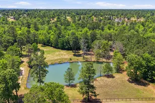 7388 Bayhill Ct, Aiken, SC 29803 - Photo 81