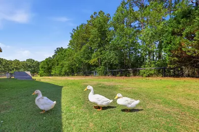 7388 Bayhill Court, Aiken, SC 29803 - Photo 69