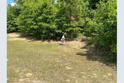 8.5 Acres Lucky Street, Trenton, SC 29847 - Photo 11
