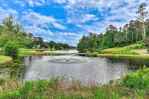 316 Willow Lake Ct, Aiken, SC 29803 - Photo 63