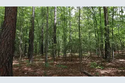 1091 Pine Grove Road, Leesville, SC 29006 - Photo 11