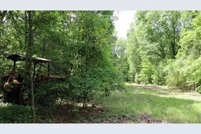 1091 Pine Grove Road, Leesville, SC 29006 - Photo 7