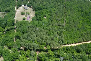 1091 Pine Grove Rd, Leesville, SC 29006 - Photo 1