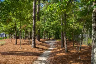 187 Bluet Loop, Aiken, SC 29803 - Photo 45