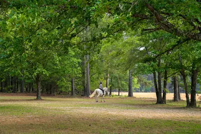793 Flowing Well Road, Wagener, SC 29164 - Photo 53