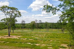 793 Flowing Well Rd, Wagener, SC 29164 - Photo 51
