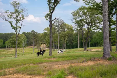 793 Flowing Well Road, Wagener, SC 29164 - Photo 47