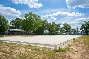 793 Flowing Well Rd, Wagener, SC 29164 - Photo 49