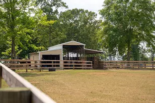793 Flowing Well Rd, Wagener, SC 29164 - Photo 39