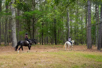 793 Flowing Well Road, Wagener, SC 29164 - Photo 43