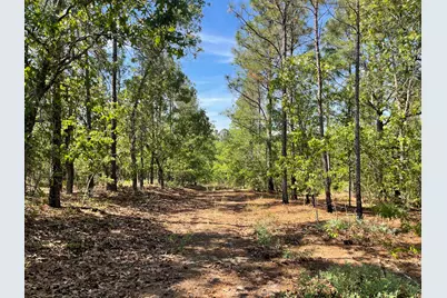 211 Elk Drive, Aiken, SC 29805 - Photo 33