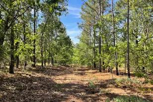 211 Elk Dr, Aiken, SC 29805 - Photo 33