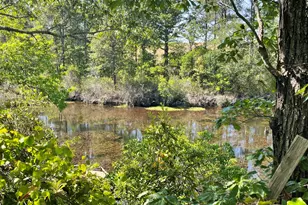 211 Elk Dr, Aiken, SC 29805 - Photo 5