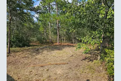 211 Elk Drive, Aiken, SC 29805 - Photo 31