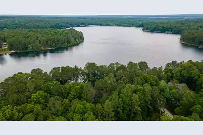 1049 Edisto Lake Road, Wagener, SC 29164 - Photo 37