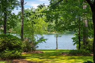 1049 Edisto Lake Rd, Wagener, SC 29164 - Photo 97