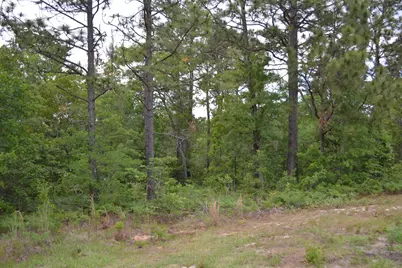 00 Old Barnwell Road, Windsor, SC 29856 - Photo 5