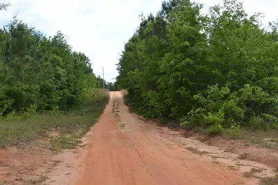 00 Old Barnwell Road, Windsor, SC 29856 - Photo 19