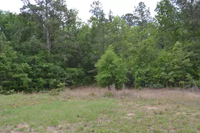 00 Old Barnwell Road, Windsor, SC 29856 - Photo 13