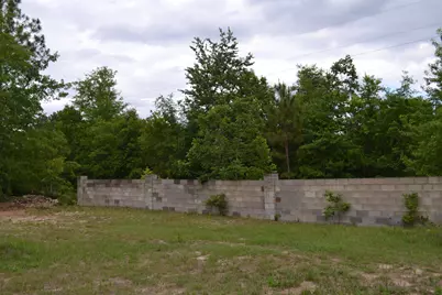 00 Old Barnwell Road, Windsor, SC 29856 - Photo 11