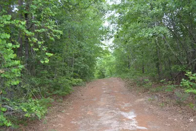 00 Old Barnwell Road, Windsor, SC 29856 - Photo 1