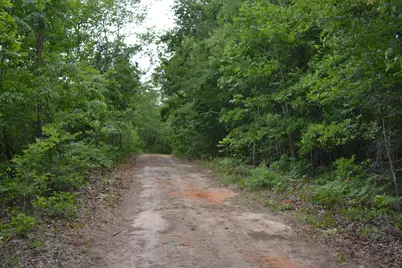 00 Old Barnwell Road, Windsor, SC 29856 - Photo 3