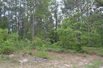 00 Old Barnwell Road, Windsor, SC 29856 - Photo 15