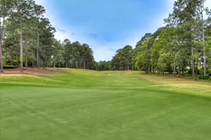 126 Dewberry Ln, Aiken, SC 29803 - Photo 53
