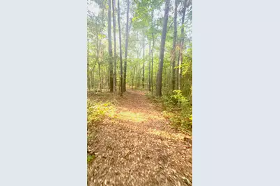 000 Old Whiskey Road S, New Ellenton, SC 29809 - Photo 3