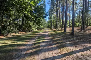 81 Chota Dr, Clarks Hill, SC 29821 - Photo 87