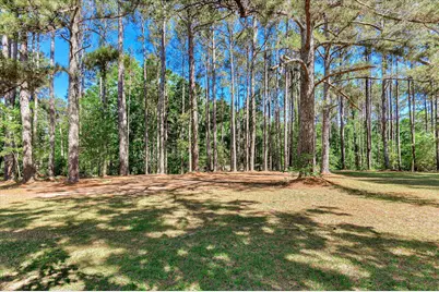 81 Chota Drive, Clarks Hill, SC 29821 - Photo 65
