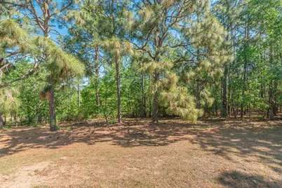 296 Whaley Pond Road, Graniteville, SC 29829 - Photo 41