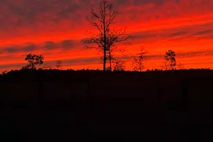 220 Tandem Trl, Windsor, SC 29856 - Photo 63