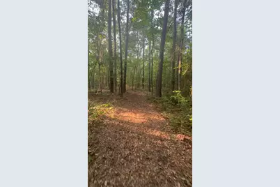 800 Old Whiskey Road S, New Ellenton, SC 29809 - Photo 49