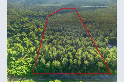 15 Acres S Dixie Road, Wagener, SC 29164 - Photo 3