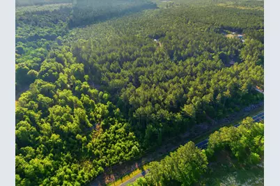 15 Acres S Dixie Road, Wagener, SC 29164 - Photo 5