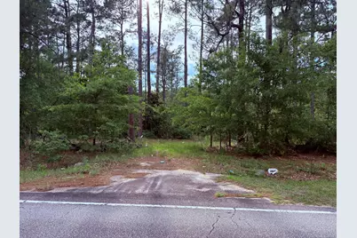 5827 Reynolds Road, Blackville, SC 29817 - Photo 3