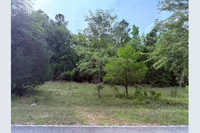 5827 Reynolds Road, Blackville, SC 29817 - Photo 5