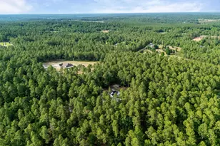 8765 Monte Christo Ct, Aiken, SC 29803 - Photo 39