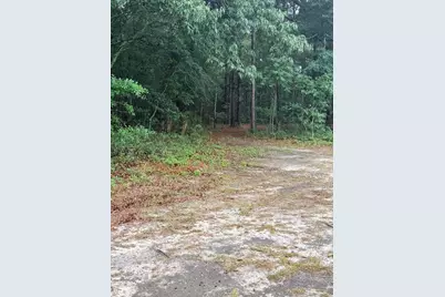 0 Alma Drive #0, North, SC 29112 - Photo 5