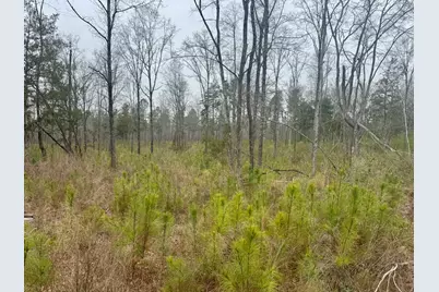 A3 Camp Creek Road #Parcel A3, Lancaster, SC 29720 - Photo 5
