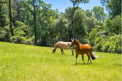1039 Clark Road SW, Aiken, SC 29803 - Photo 5