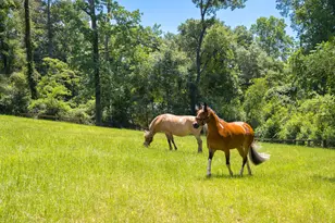 1039 Clark Rd SW, Aiken, SC 29803 - Photo 5