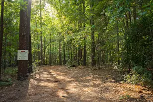 1039 Clark Rd SW, Aiken, SC 29803 - Photo 53