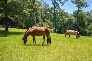 1039 Clark Rd SW, Aiken, SC 29803 - Photo 55