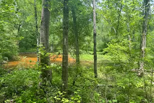 846 Briggs Rd, North Augusta, SC 29860 - Photo 45
