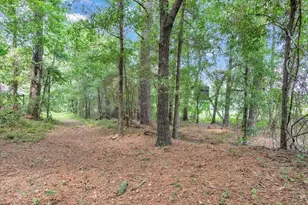 356 Massey-Doss Rd, Keysville, GA 30816 - Photo 19