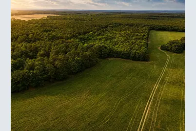 0 US 278 Highway, Barnwell, SC 29812 - Photo 3