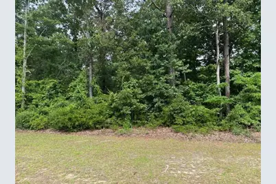 000 Sc Hwy 3, Barnwell, SC 29812 - Photo 1