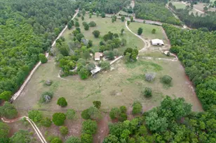 519 Beck Rd, Williston, SC 29853 - Photo 47